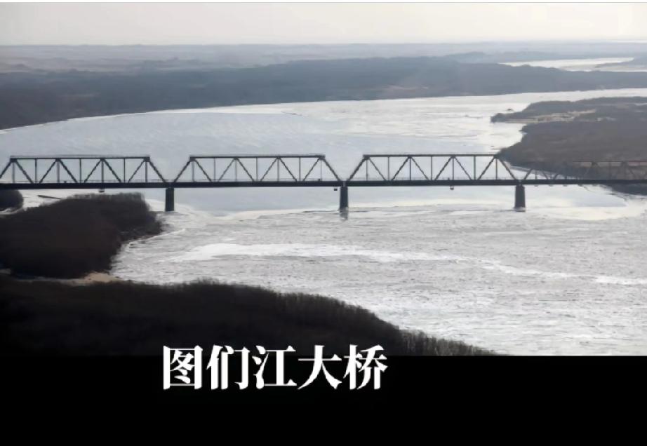 风雪夜渡图们江
 
雪粒撞碎夜色
风卷着边境的寒
漫过冰封的江面
月光在雪雾里浮