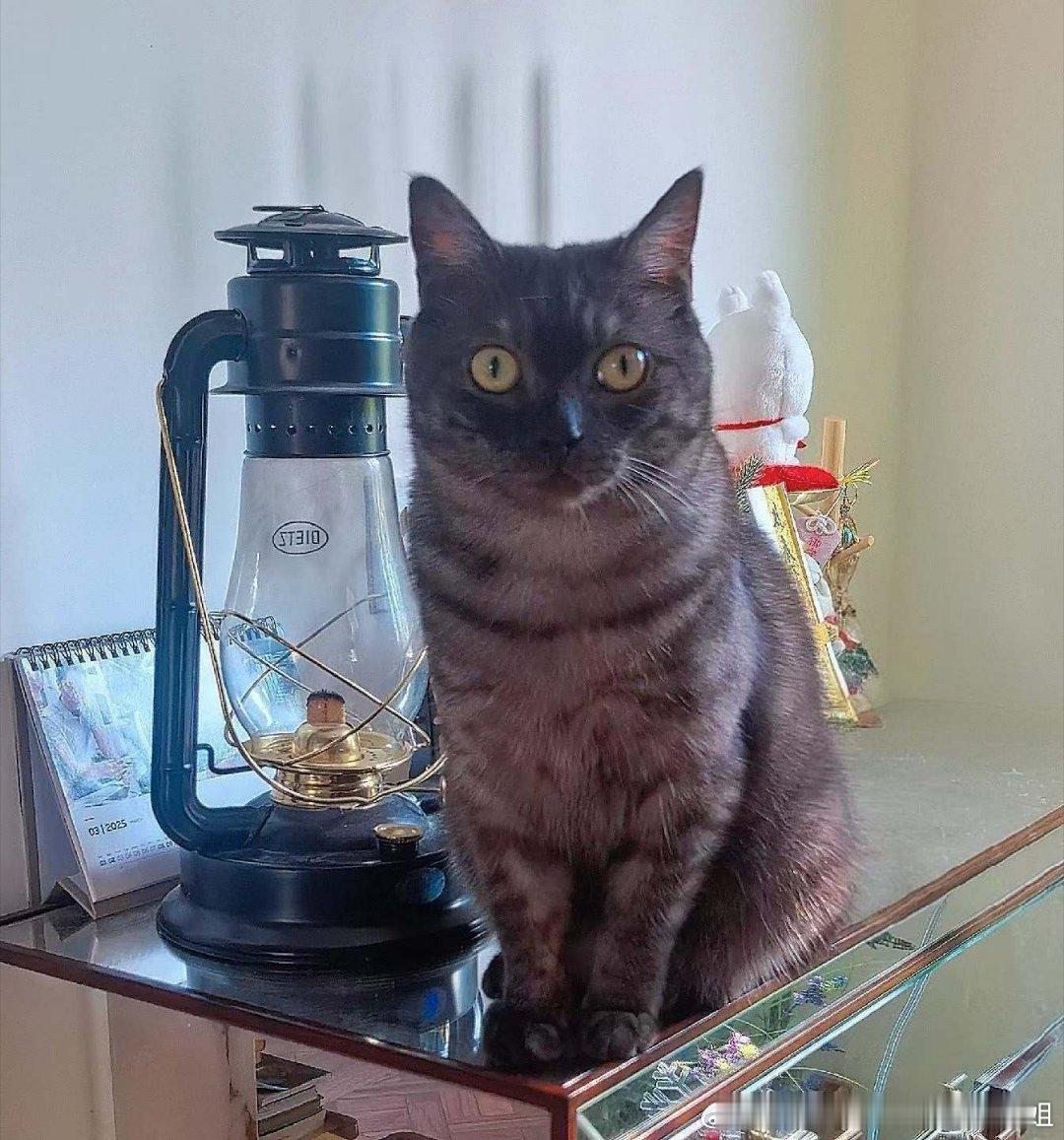 小米立即终止与相关KOL合作kol是达人可能有些也是不怎么样小米自己营销也挺好不