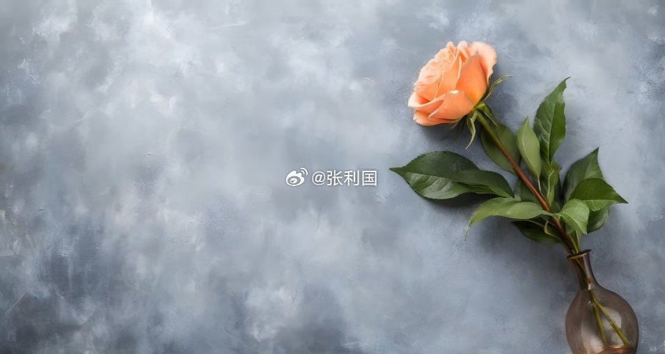 看不清路的时候，就把今天过好。反正无论你怎么张望，雾都不会散。那就允许自己暂时停