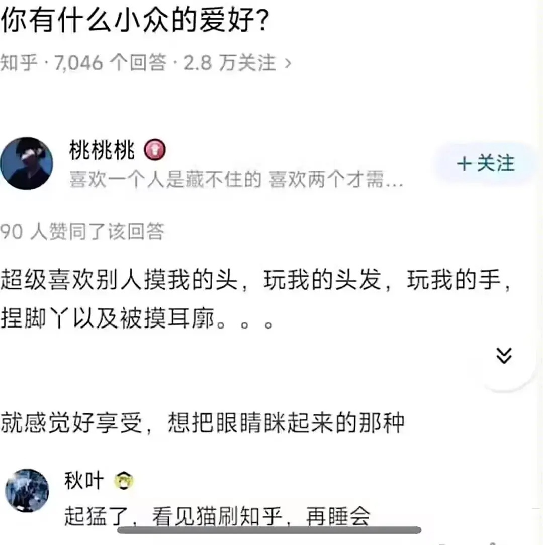 应该是小狗，小猫摸一会就要揍你了[笑cry] ​​​