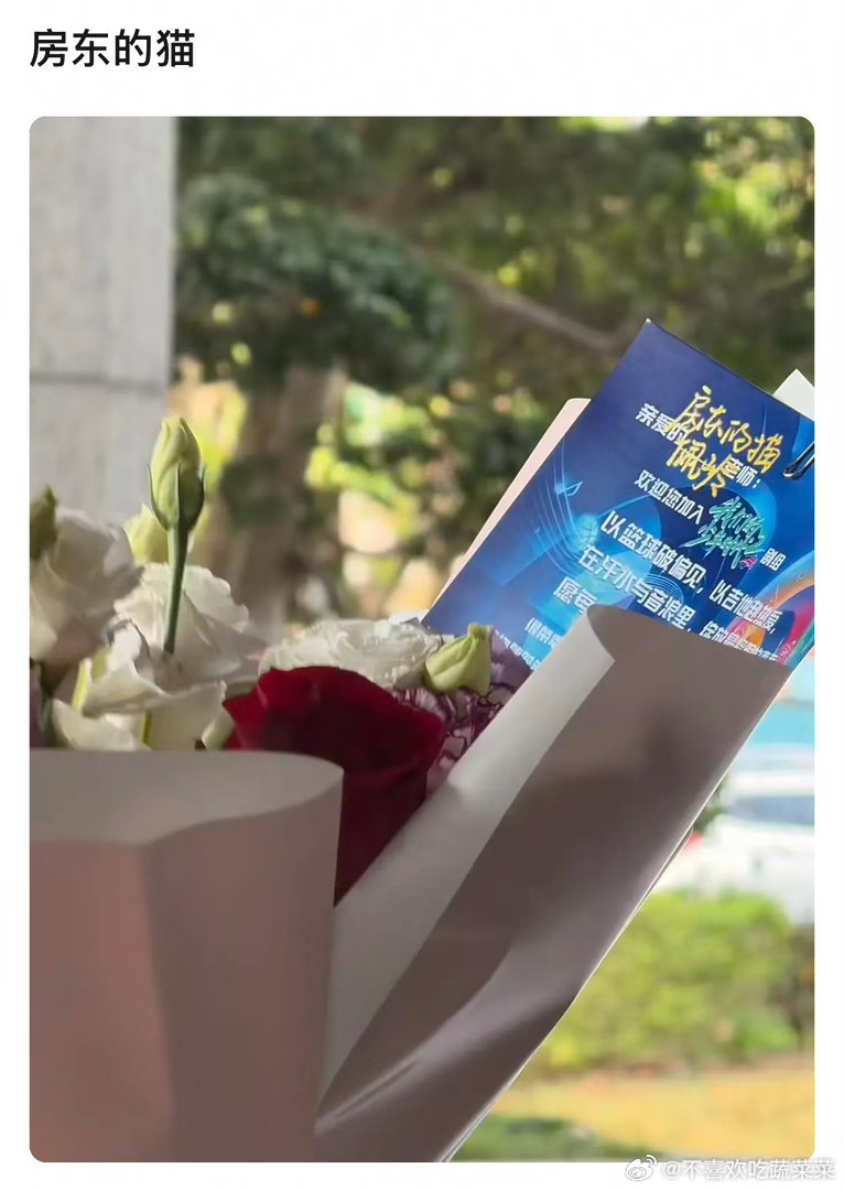 tg 房东的猫怎么会来？ 