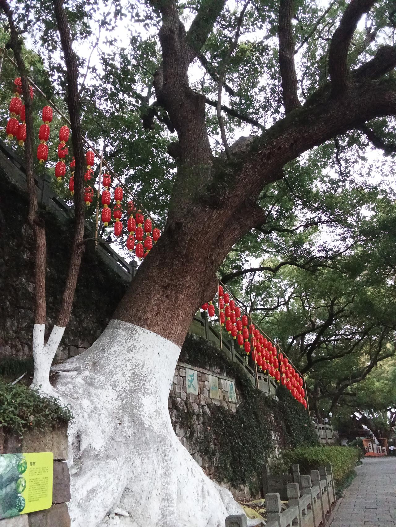 分享一下你随手拍下的照片