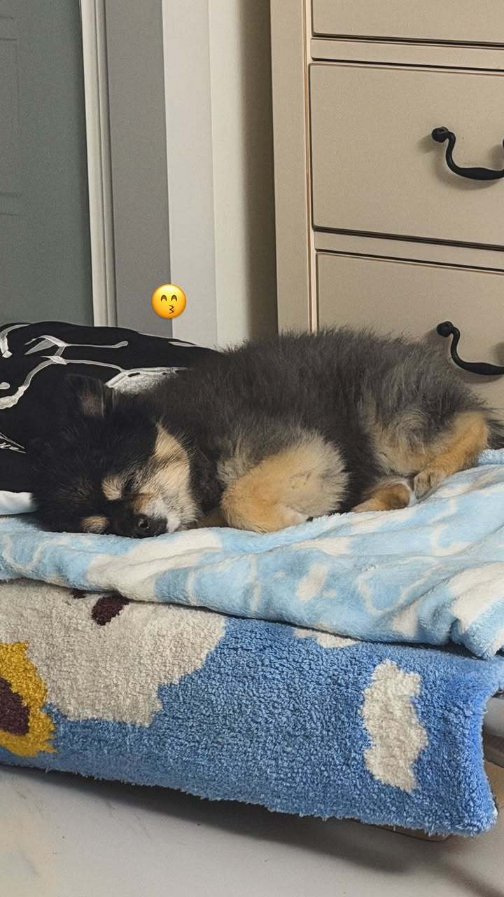 “CB百蓝_。260718金钟云 ins story更新： 
