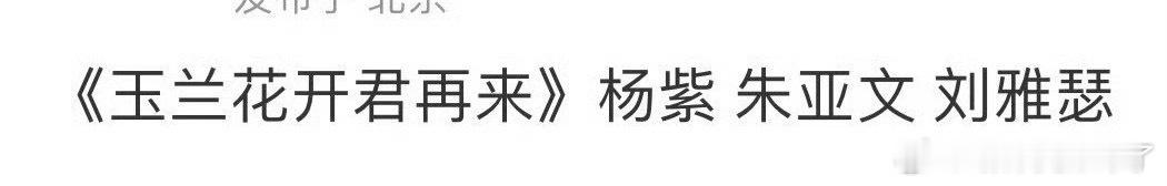 以杨紫的实绩，真的不缺好饼[鼓掌] ​​​