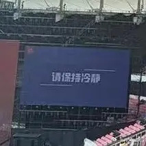 登陆少年演唱会大屏请保持冷静  登陆少年演唱会大屏：请保持冷静 咱就是说还是好好
