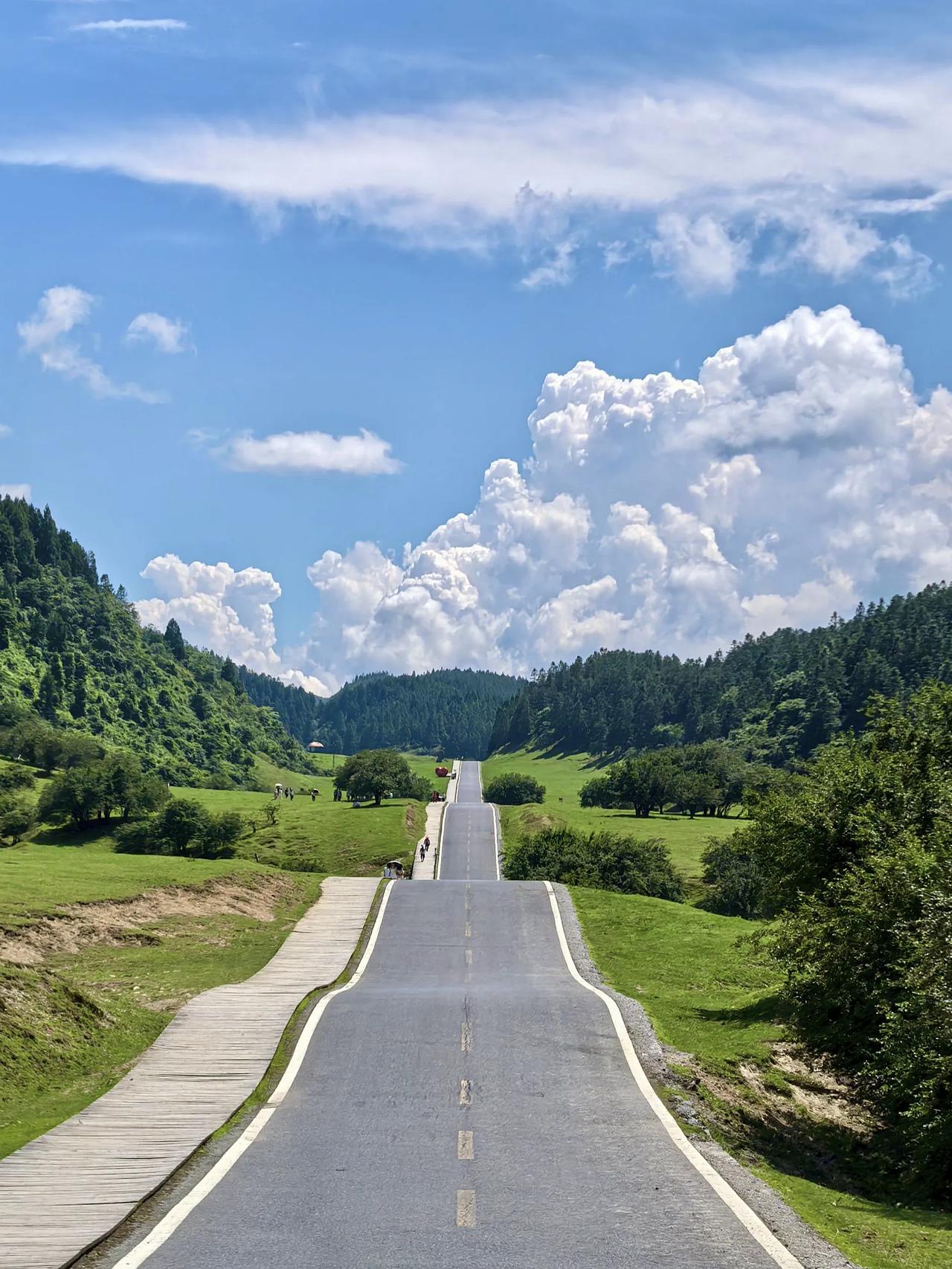 朋友们，我真的对仙女山国家森林公园爱到不行！前后去了两次，每一次都被它美到失语。