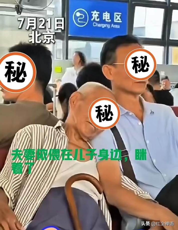 最暖心的画面:小时候你托我长大，如今，我做你靠山

刷到一段视频:
7月21日，