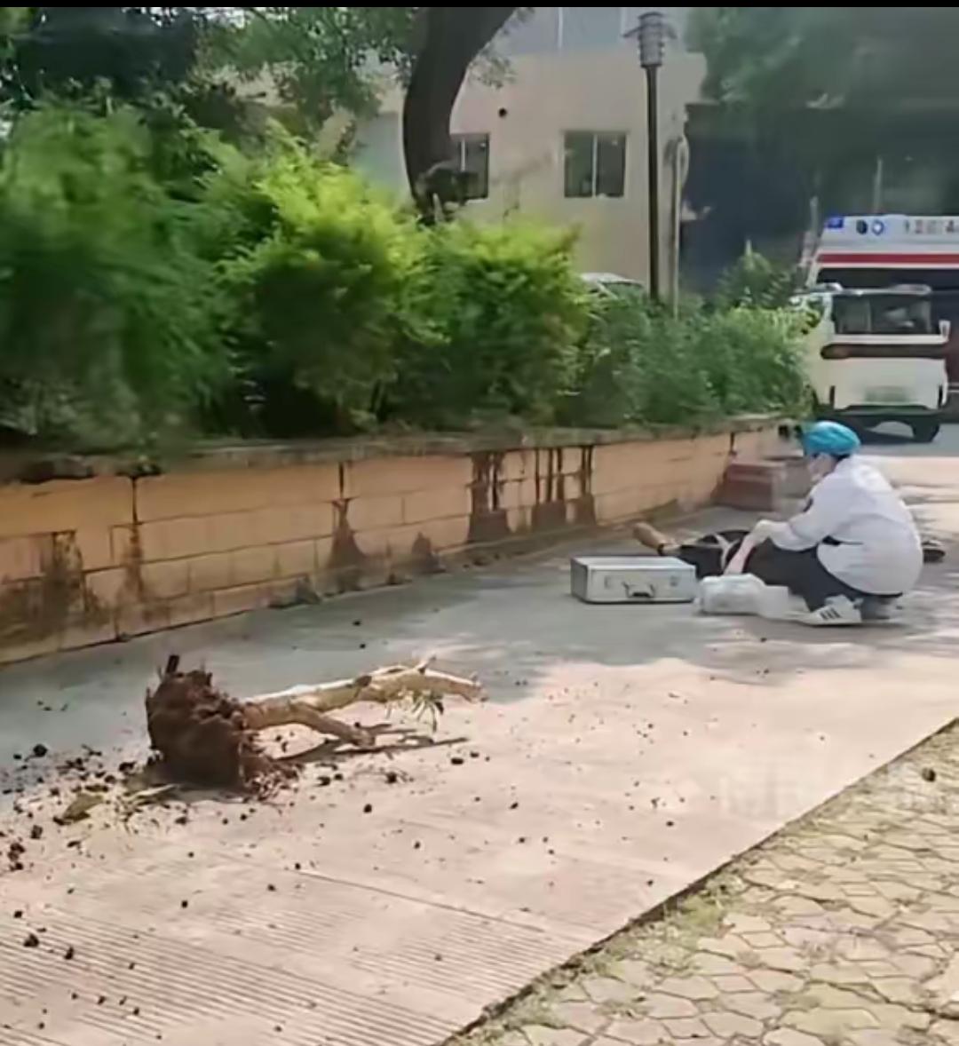 真是一瞬间的疏忽，毁了两个家！
柳州一位六十多岁的大爷韦某，在自家楼顶挪棵树，谁