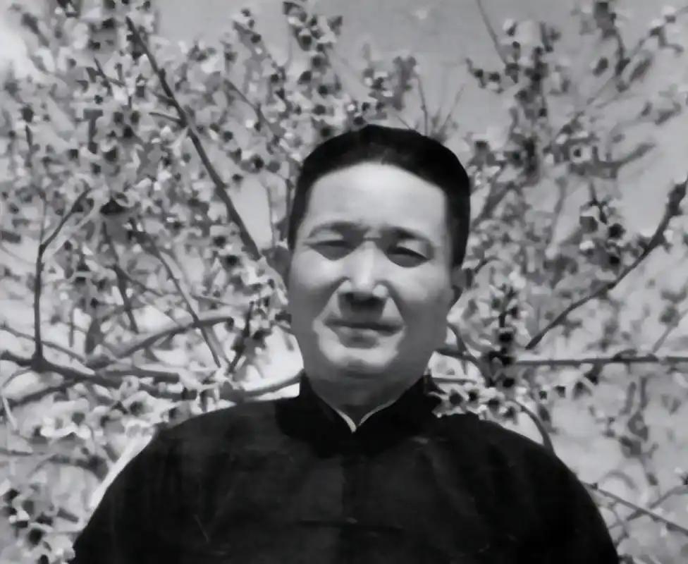 1969年张治中病逝，周总理参加告别仪式后，找张治中子女单独谈话："你父亲生前保