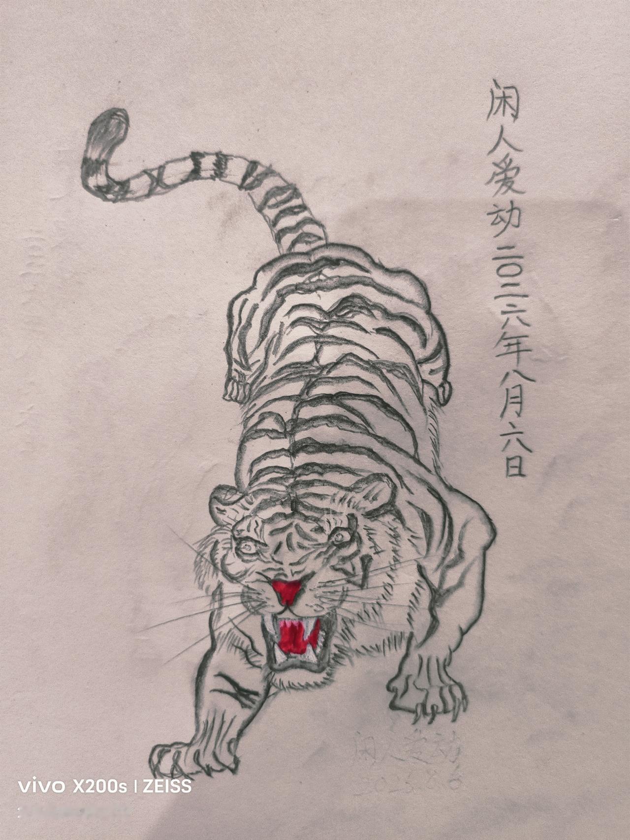 上山虎与下山虎
         我在家没事用铅笔绘画了两只老虎，一个为上山虎，