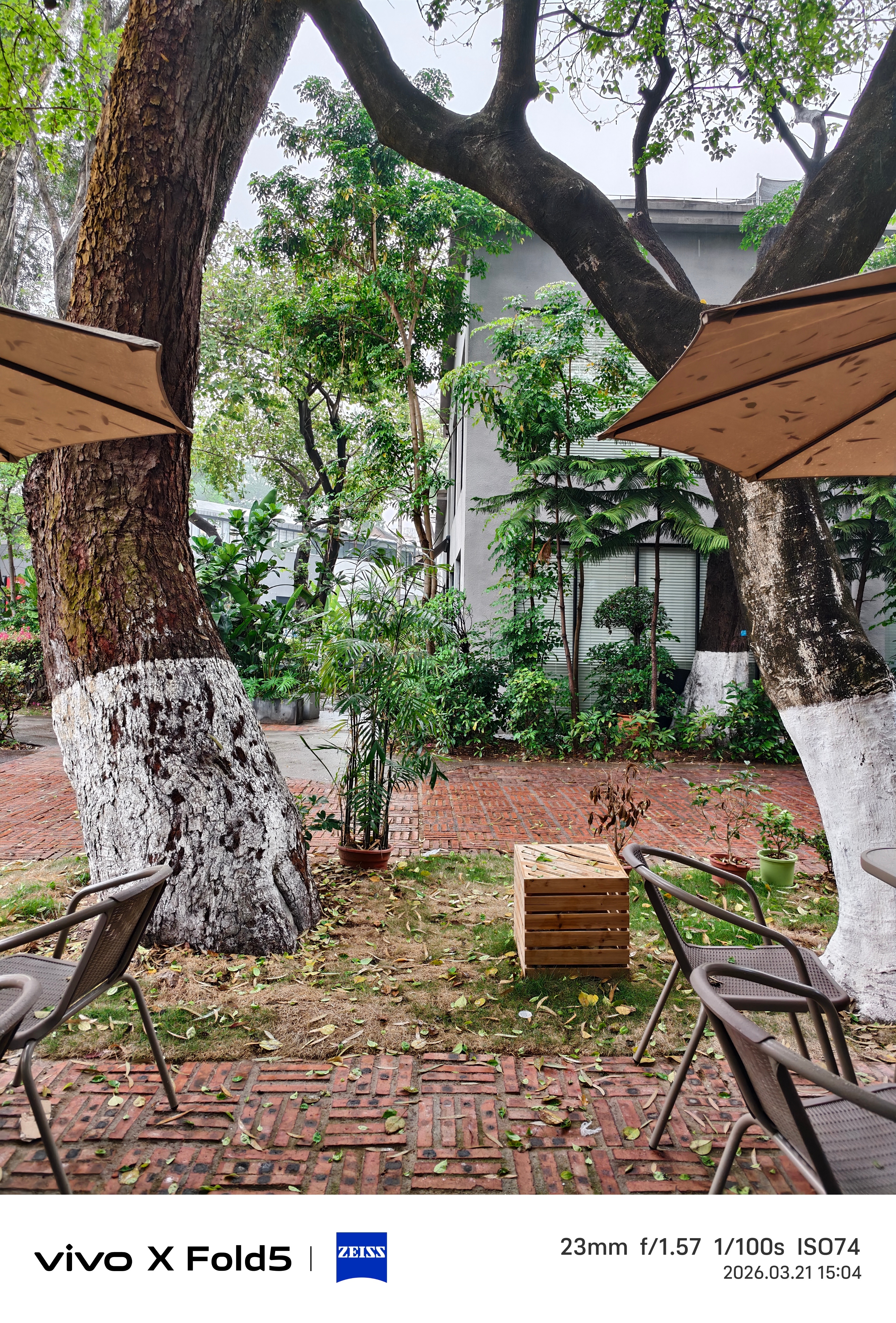 南方这个环境真太令人羡慕了，躲在屋檐下听雨落在树叶上的沙沙声，太舒服了 广州·广