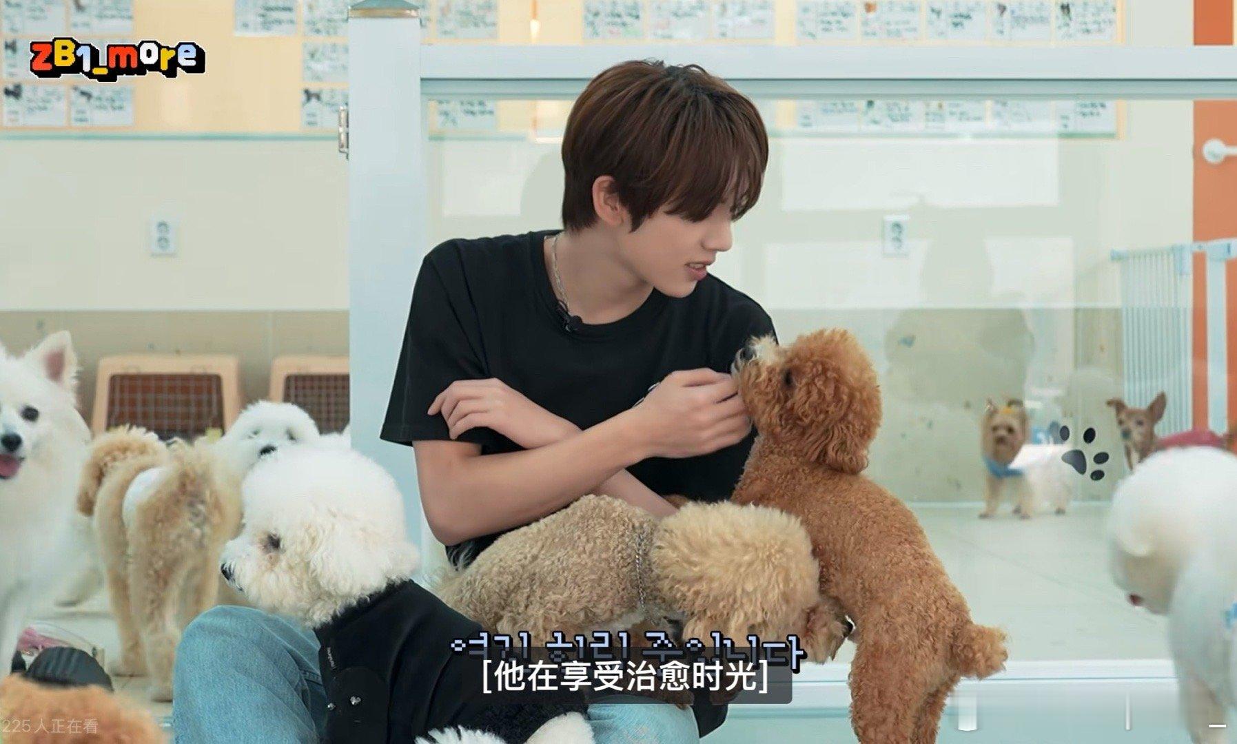 我迟早被这男人娶了 