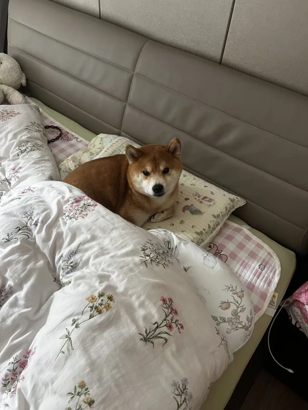 造反了！