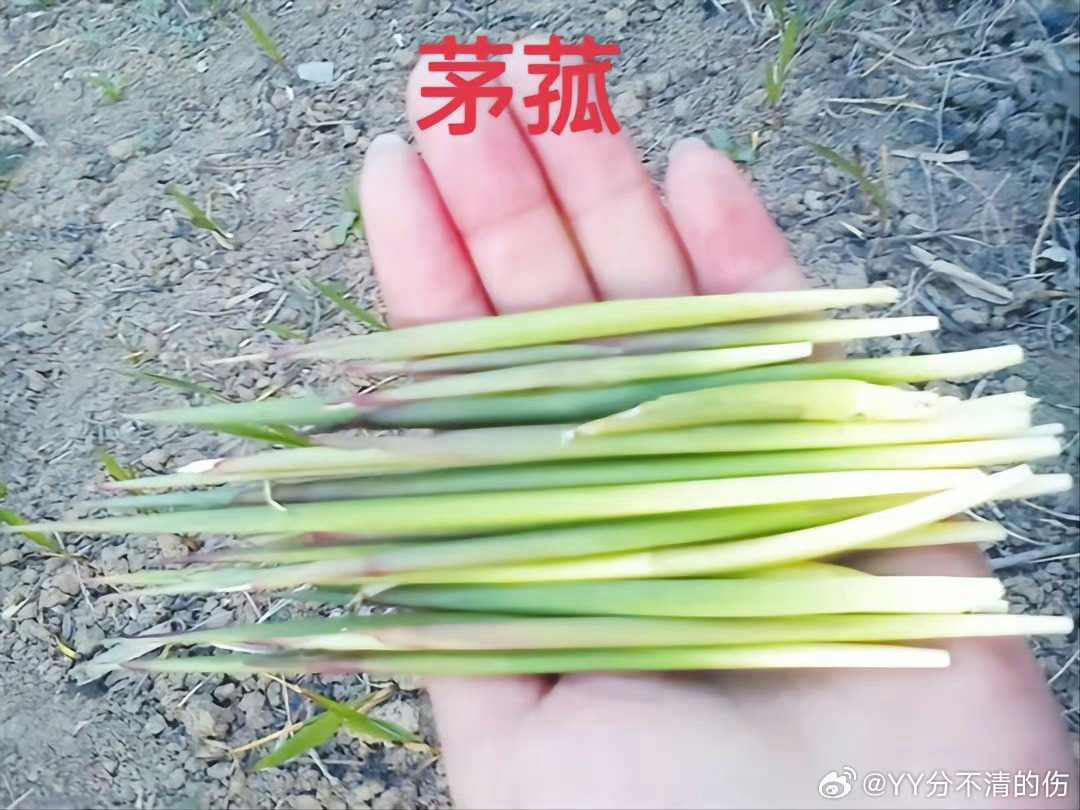 深夜话题童年的这些食物你们吃过哪些 