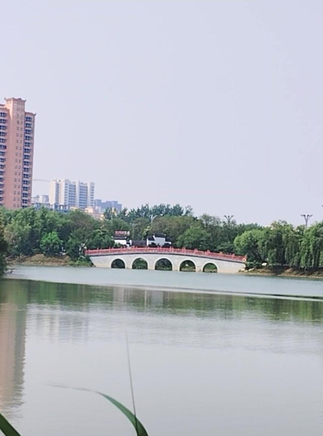 沈丘中华槐园，沈丘颖滨公园随手拍。