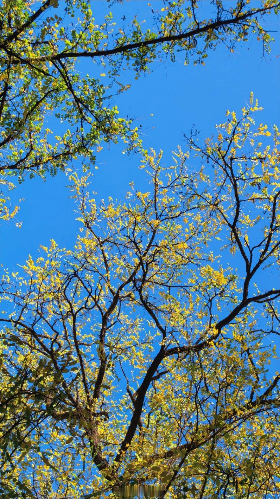 人生如白驹过隙，不过如雪花一场。