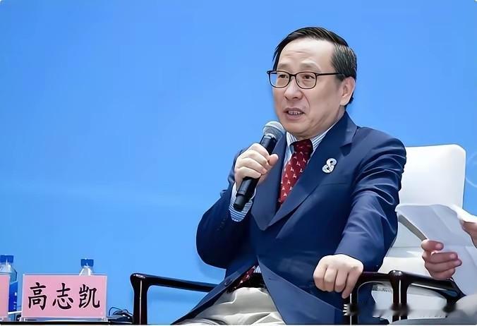 中国如果给日本来真的，他们将“死无葬身之地”！
 
高志凯这句狠话，戳中了日本的