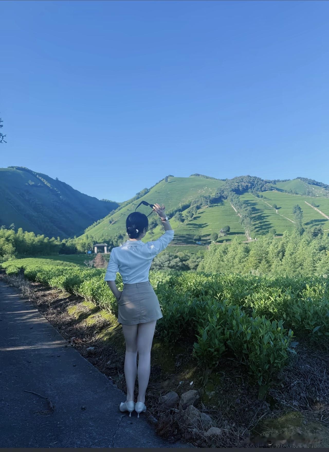 在茶园中，眺望远山，感受自然的宁静与美好。茶山茶园风景 茶园沿途风景