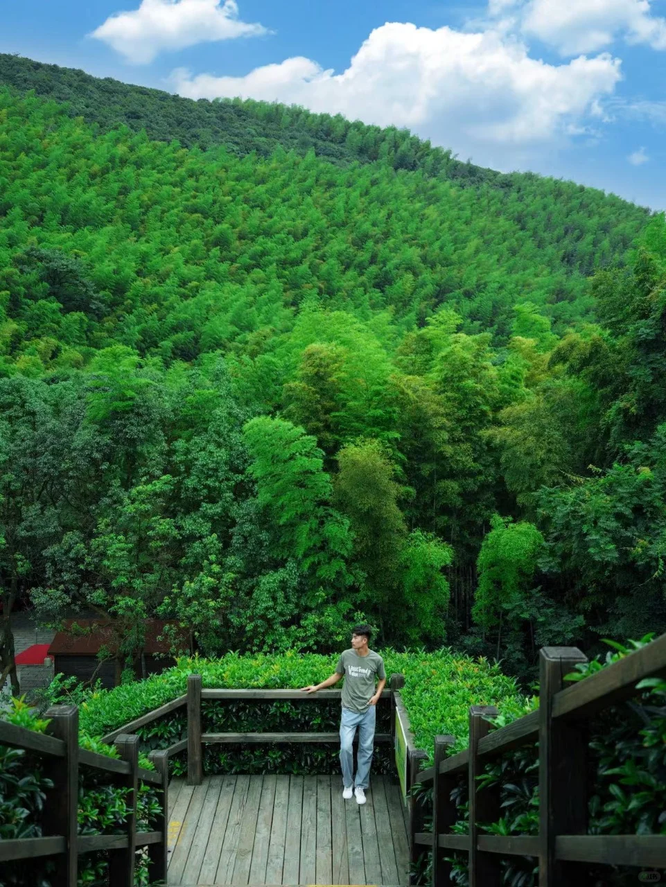 这个夏天，去没有天花板的地方尽情吸氧