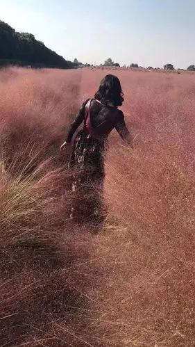 他们视花钱为投资，更看重能否带来回报，不太在意价格高低。