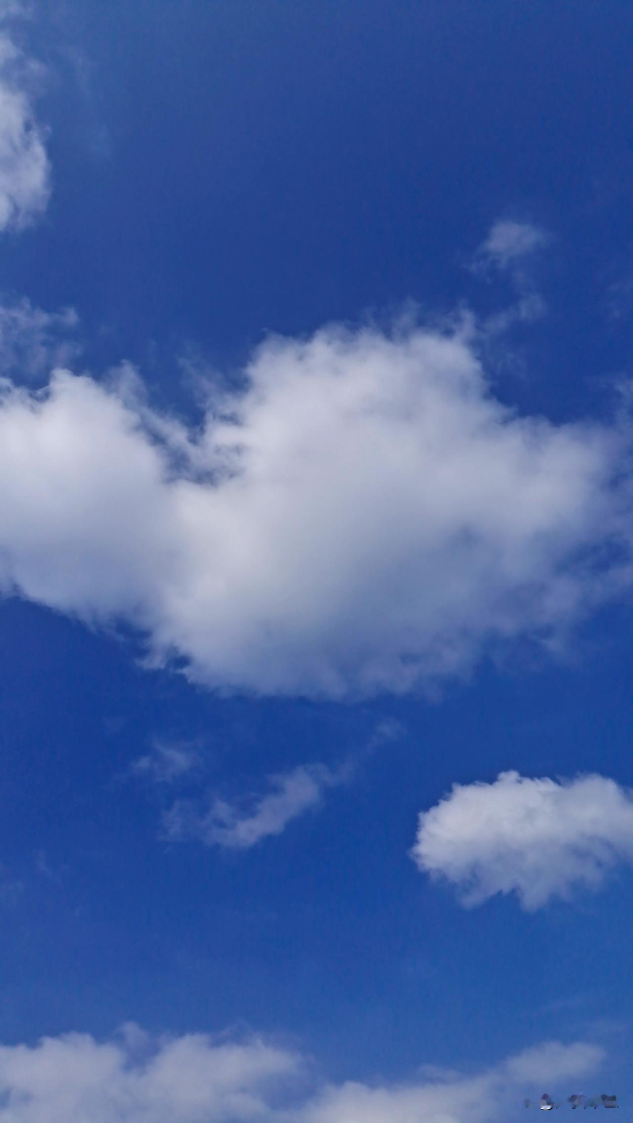 我今年五十了，感觉自己注意力不集中，对很多事物都不感兴趣了，记忆力也下降很多，偶