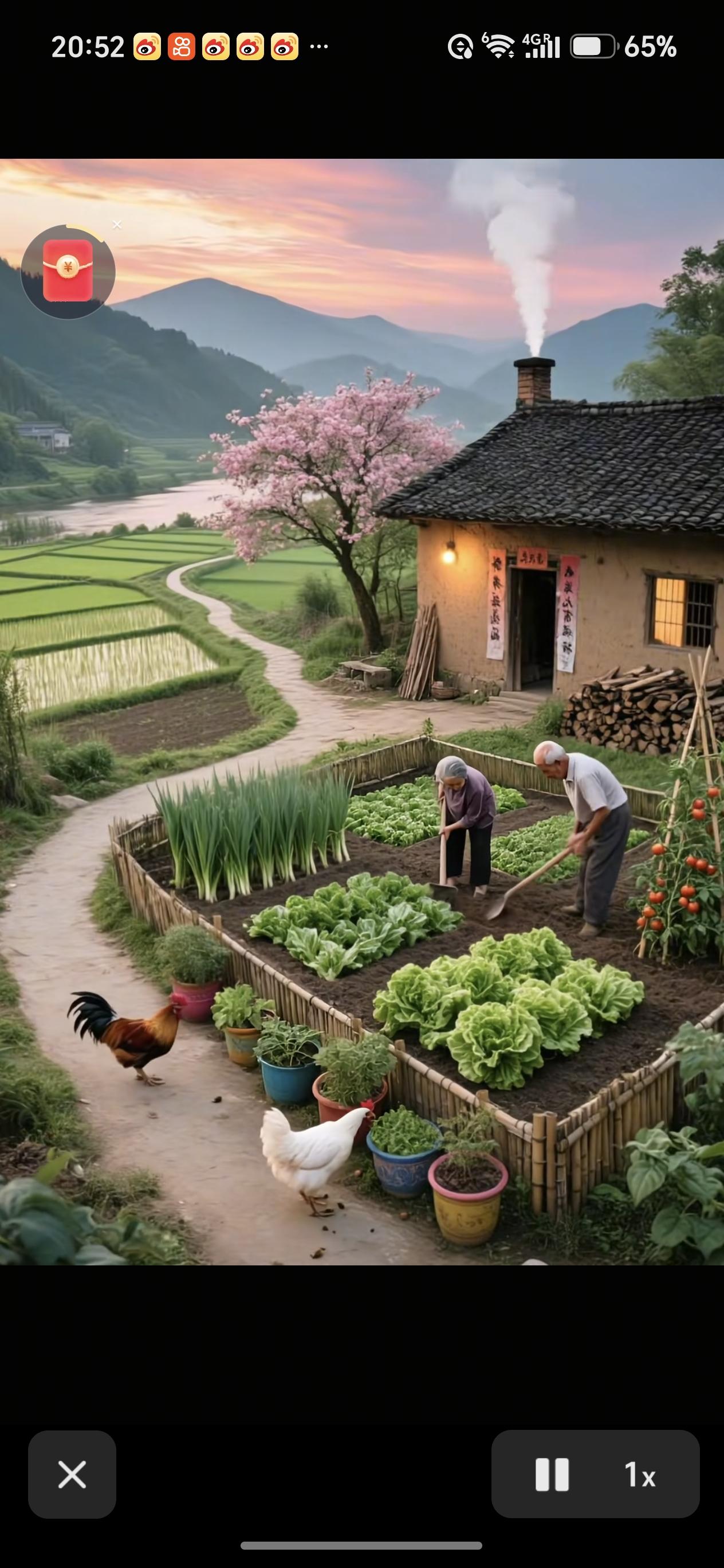 菜园风光分享走进自家菜园，满眼生机勃勃，青菜翠绿饱满，蔬果挂在枝头，微风轻拂，空