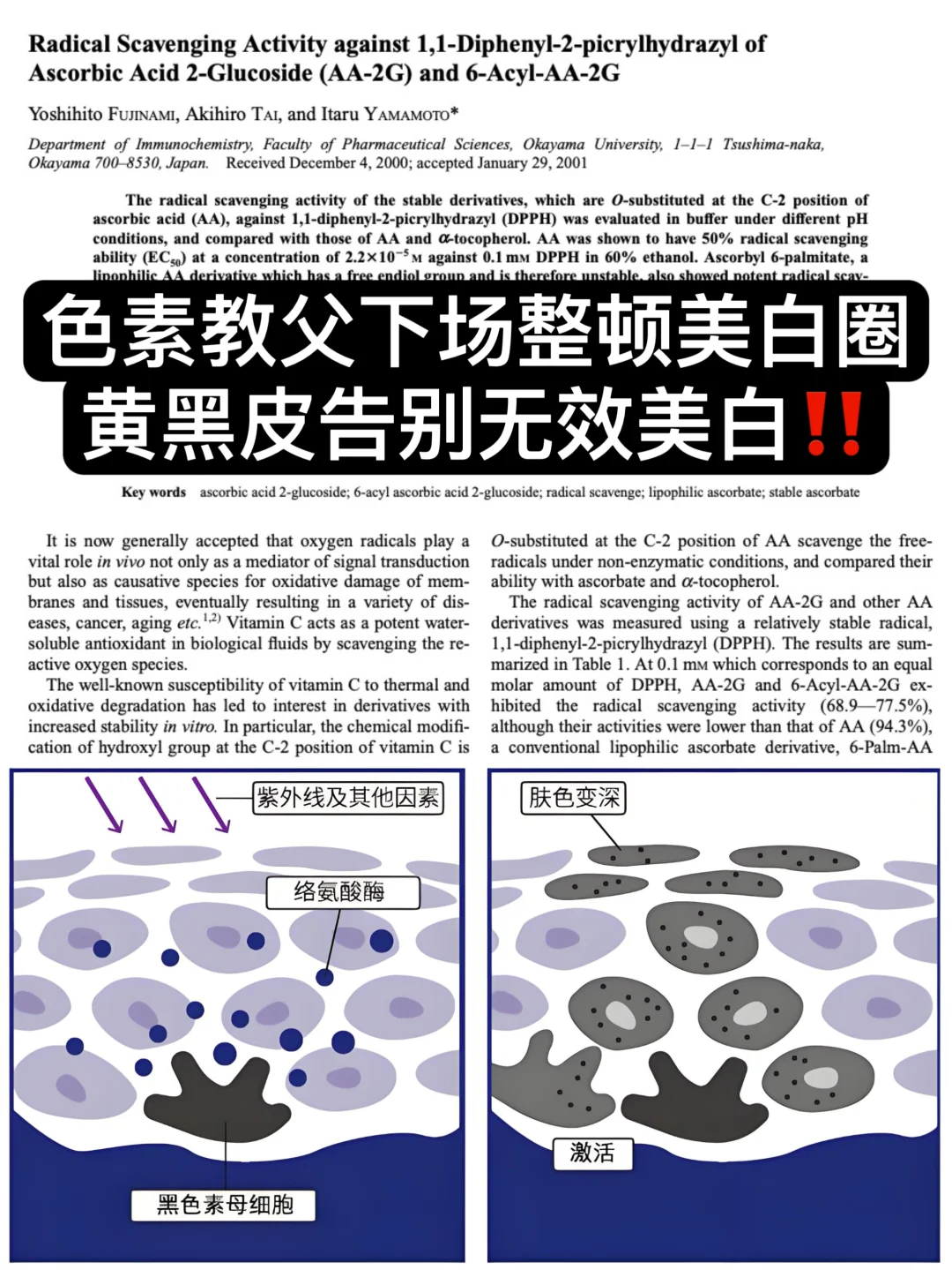 色素教父下场整顿美白圈！告别无效美白