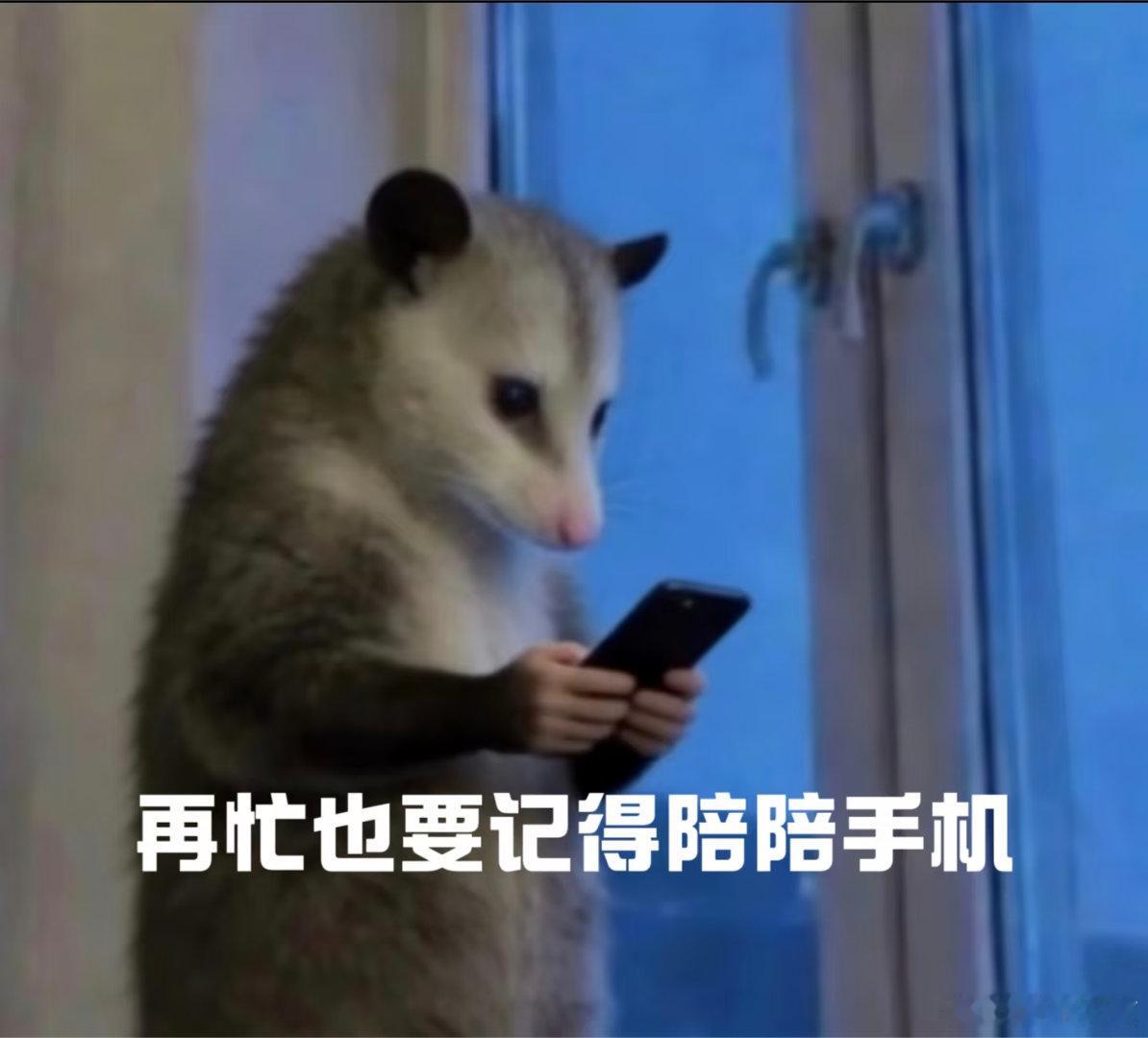 一整夜远离了智能手机除非太困了，实在是眼睛睁不开了，我才会放下手机…不知道为什么