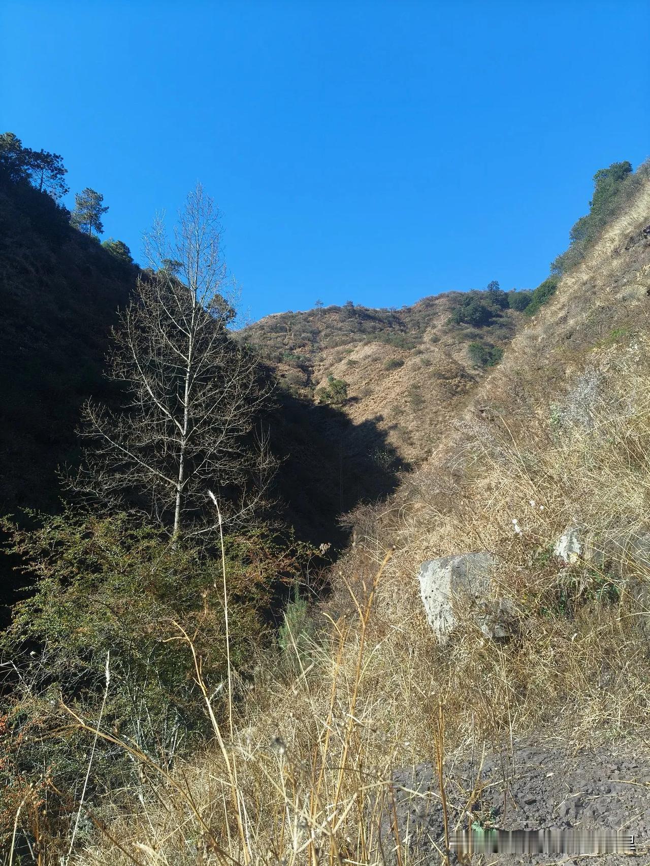 没有那个地方的天，比我们贵州毕节威宁彝族回族苗族自治县的天蓝了吧。