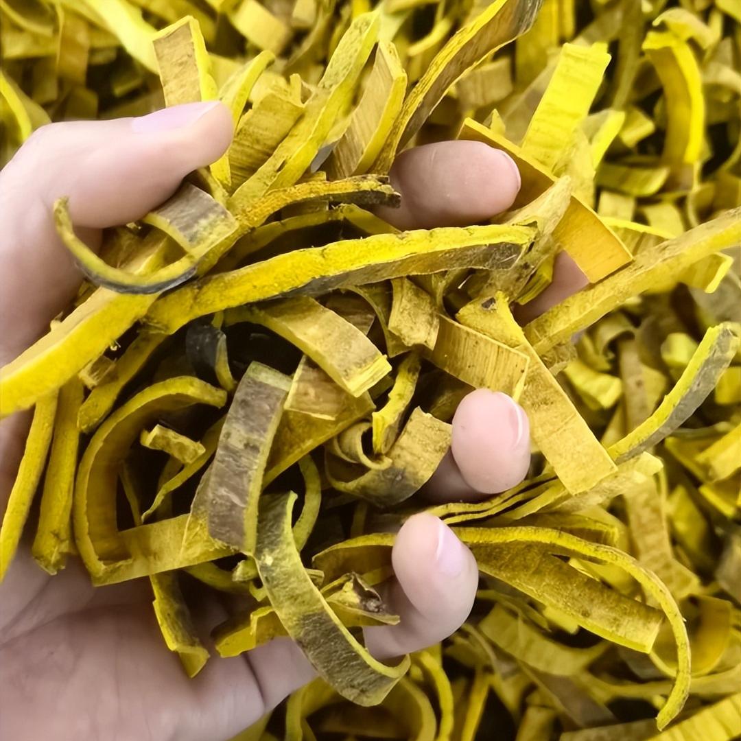 两味药对尿频尿急前列腺炎有奇效！排尿稳了，炎症也更容易消退


很多前列腺炎朋友