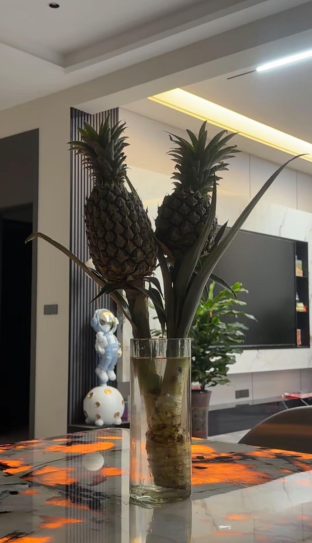 生活奇奇怪怪而你可可爱爱……你们知道菠萝花的寓意吗？