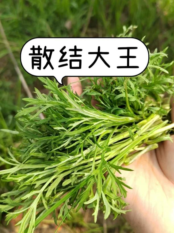 甲状腺结节，坚持打卡5件事，结节在家自己散，教会一个是一个！

甲状腺、乳腺总爱