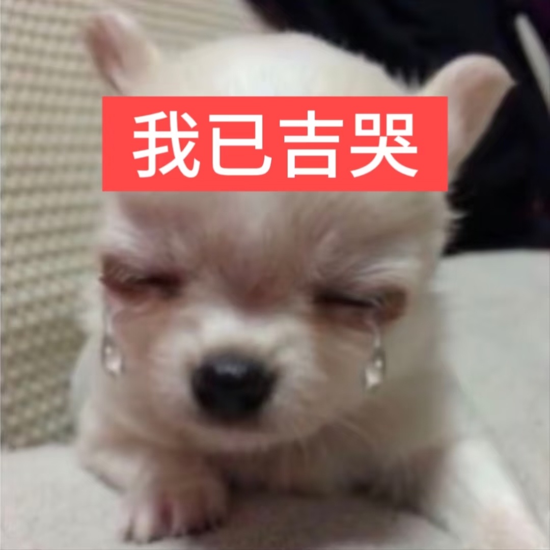 十分有十二分不对劲 