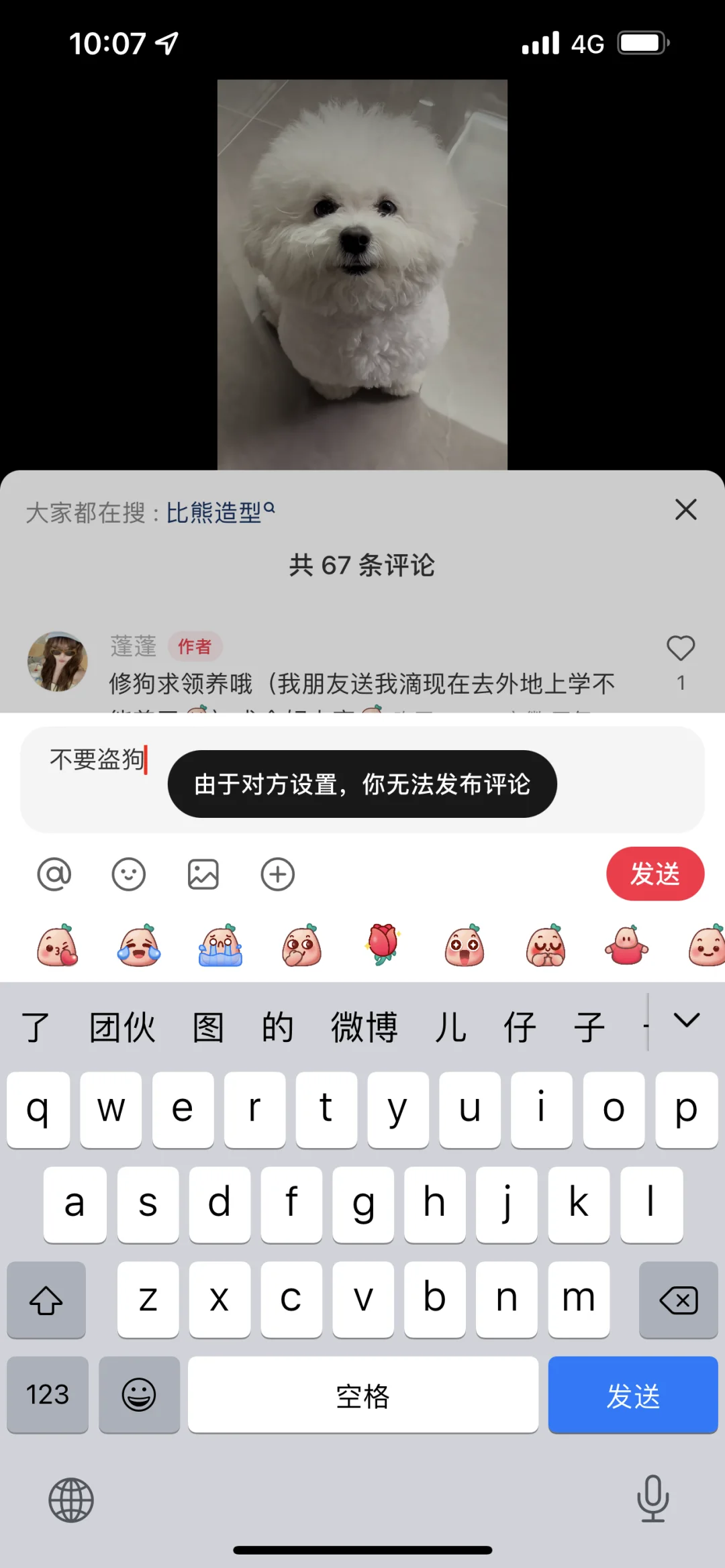 又被盗狗了…这次是虚假领养