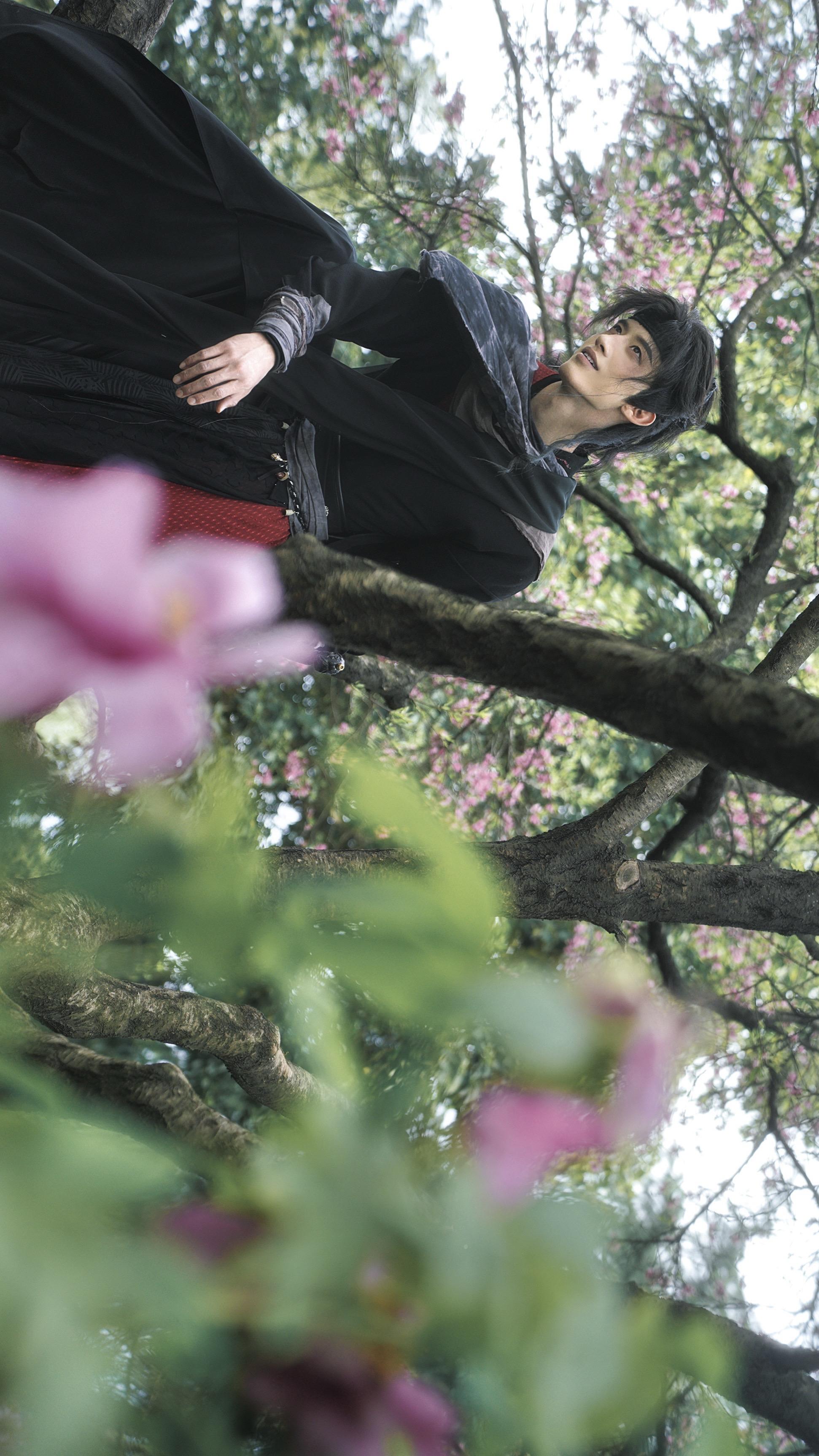 “待到秋来九月八，我花开后百花杀”
