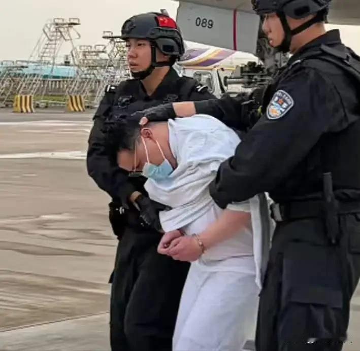 7月20日的北京首都机场，一架国际航班舱门打开，走下来的不是什么重要外商，而是一