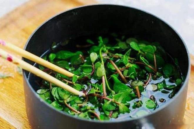 #每天一味中草药# 马齿苋的10大功效1、清热利湿马齿苋具有清热利湿，凉血止血的