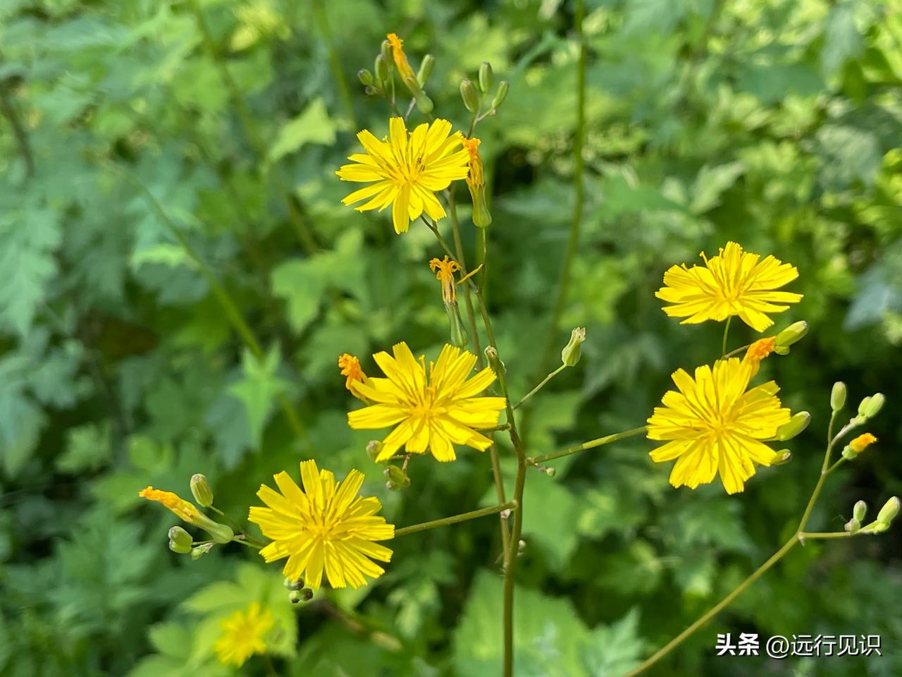 关税对普通人影响有哪些

1. 商品价格：加征关税通常会导致进口商品价格上涨。这