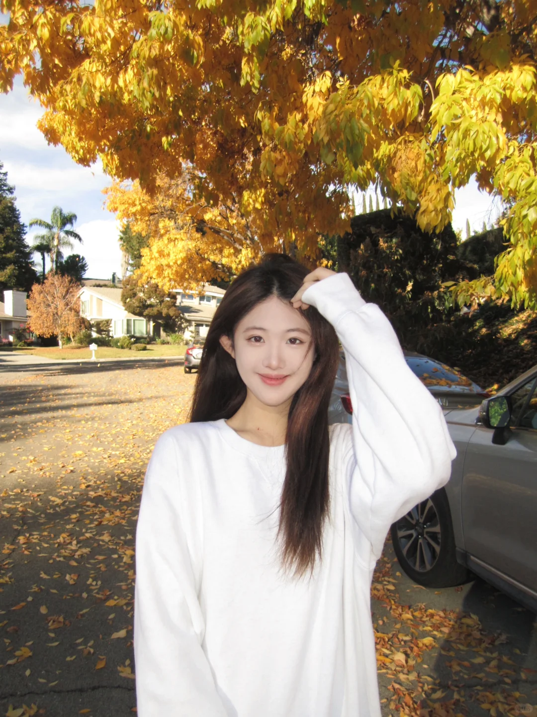 又到了听All too well的季节🍂