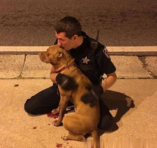 【狗狗受伤无助的坐在路中央，超暖心警察葛格们的做法，让人鼓掌！】一天清晨4点半，