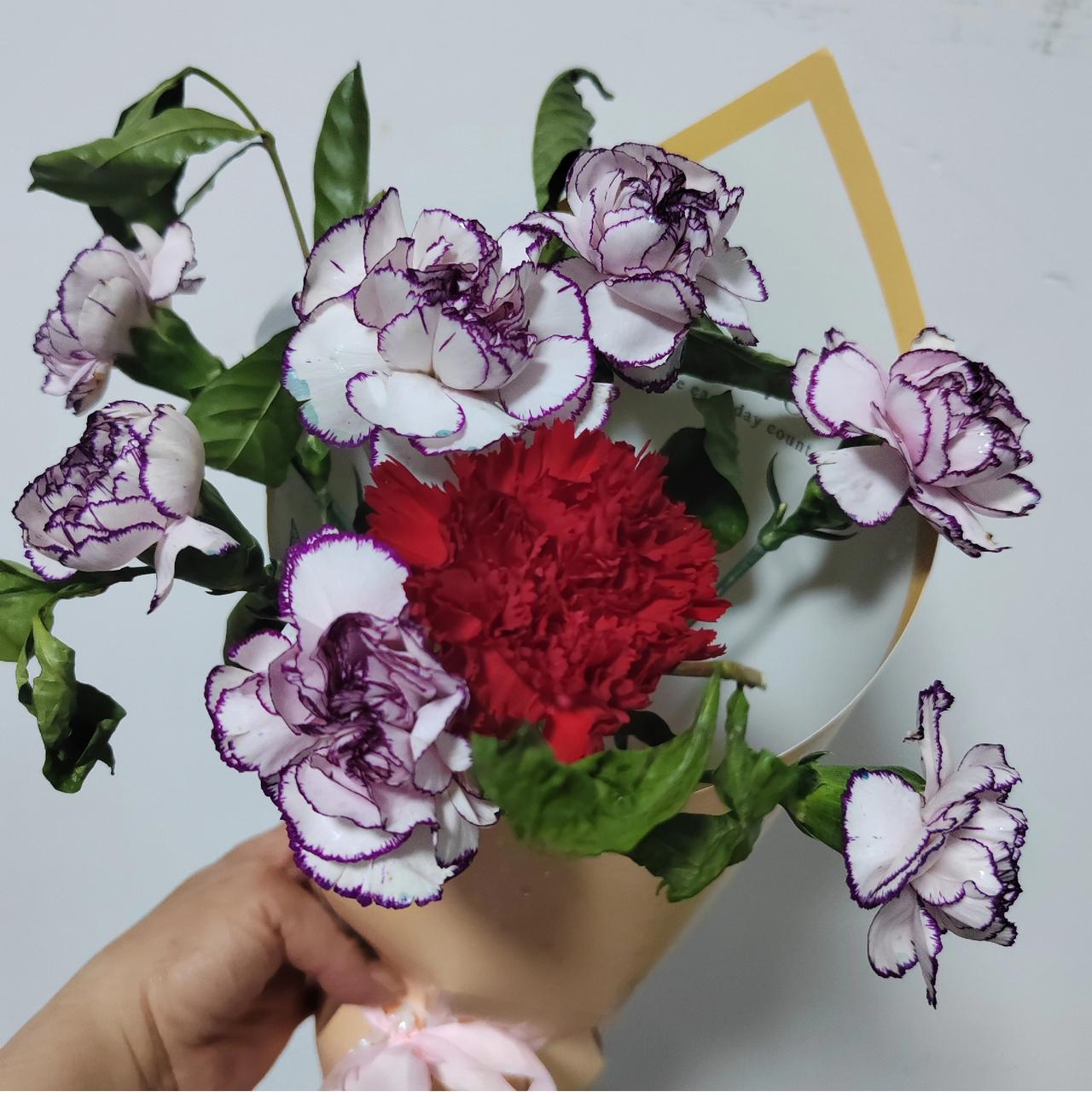 今天是母亲节，收到了儿子和儿媳送的康乃馨！
紫边的康乃馨精致又温柔，中间那朵正红