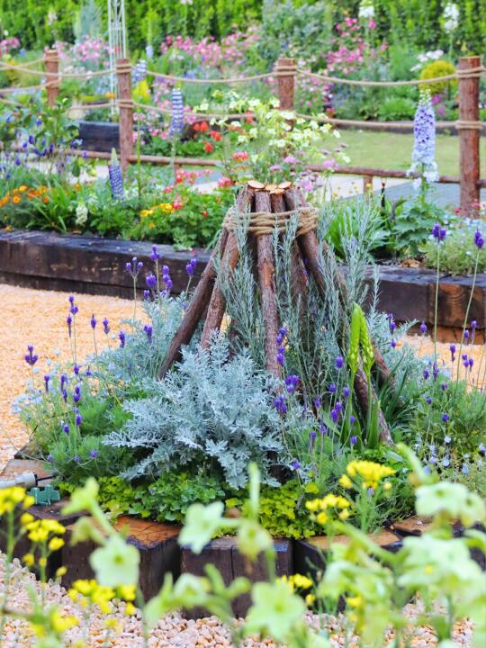给顶楼花园的植物写了150个牌子