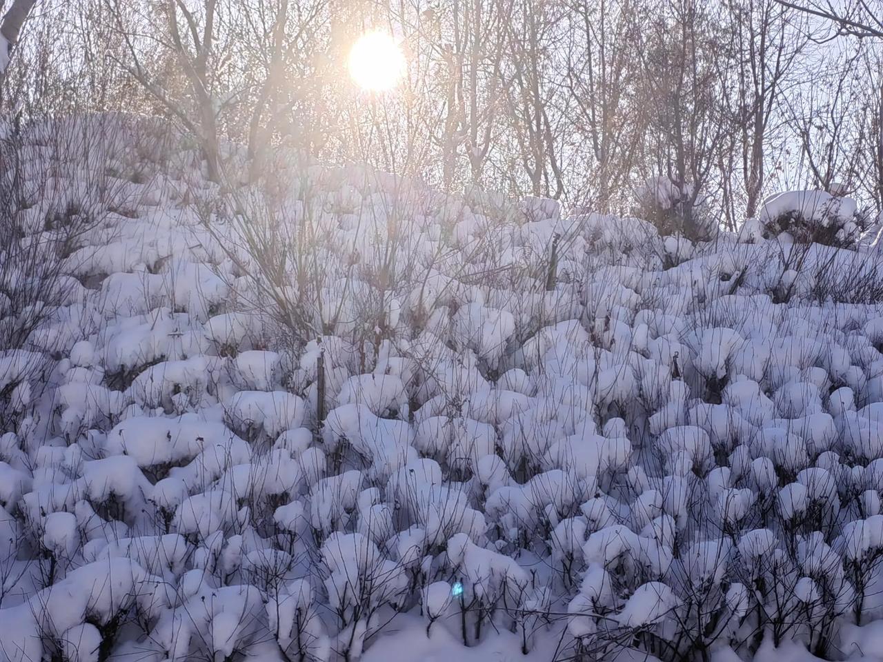 说实话，雪停了已经有好几天，道路上的积雪已清理干净，但乌鲁木齐开车上路的朋友仍然