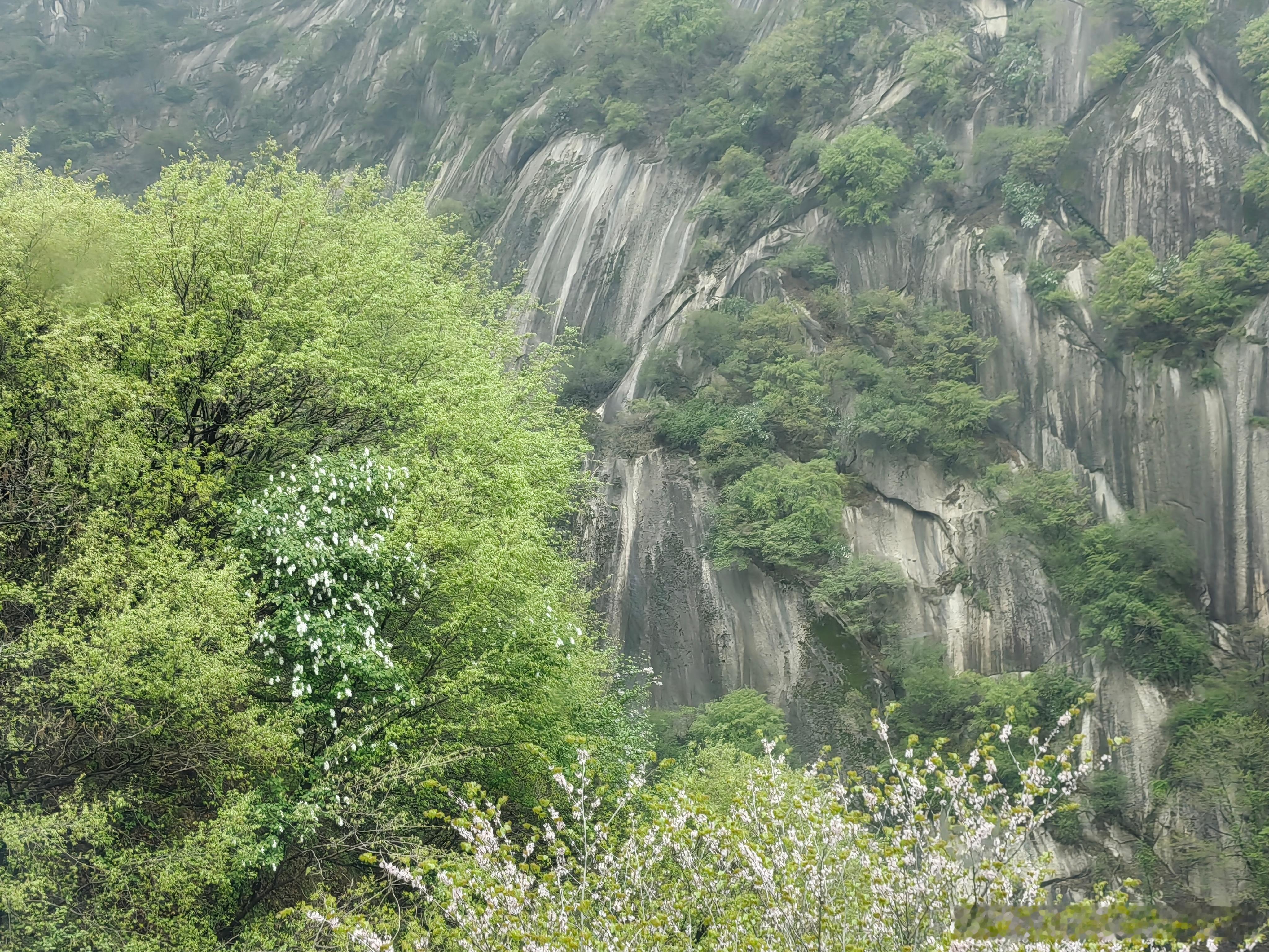 华山坐落于陕西华阴市，是五岳中的西岳，以雄奇险峻享誉全国。它在东、西、南、北、中