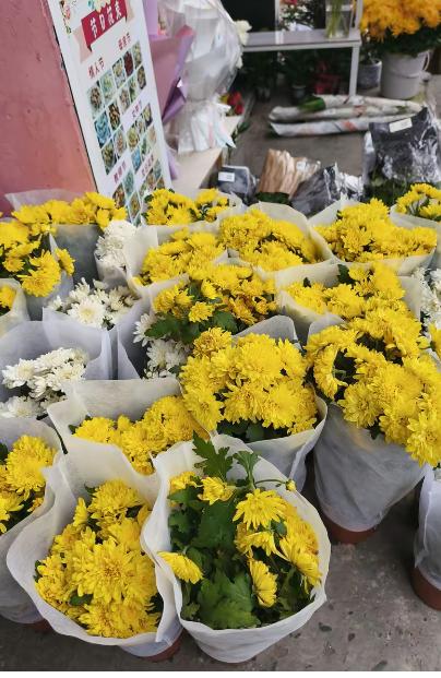 岳父生病时钱没跟上，病去人散我也因事缺席，像一阵风吹过就算到此。现在轮到我父亲去