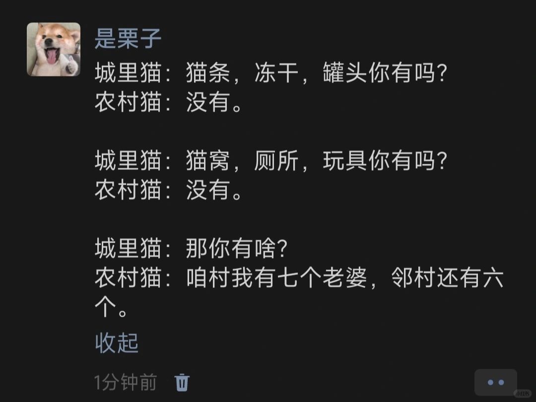 当城里猫遇到农村猫时