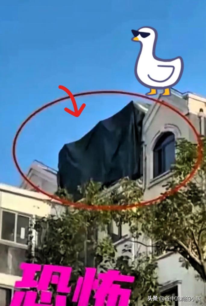 上海这位邱先生的遭遇，
真的让所有普通人看完都后背发凉！
只是随手举报了小区楼顶