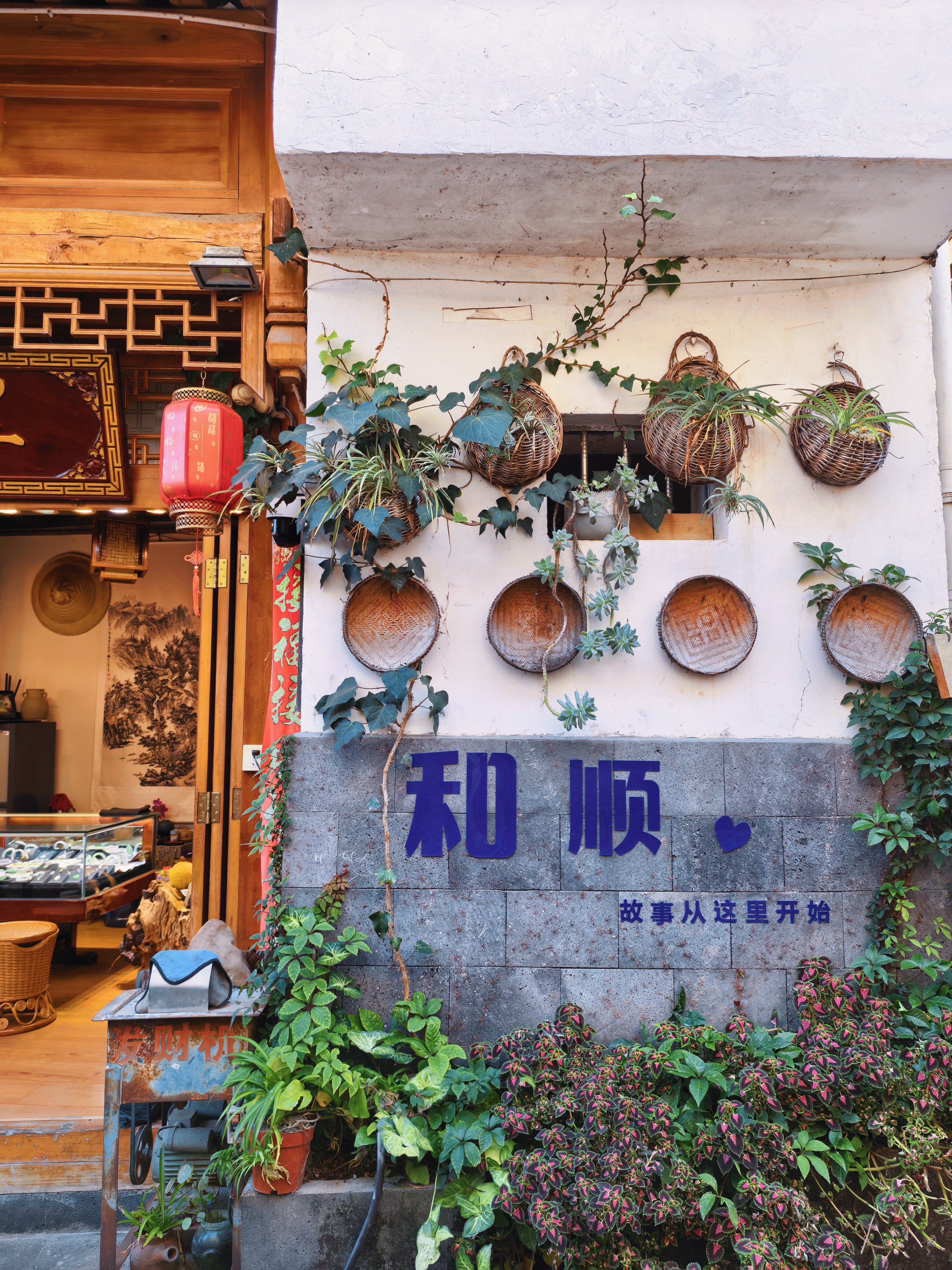 新年快乐 以及爱刘亦菲的每个小可爱