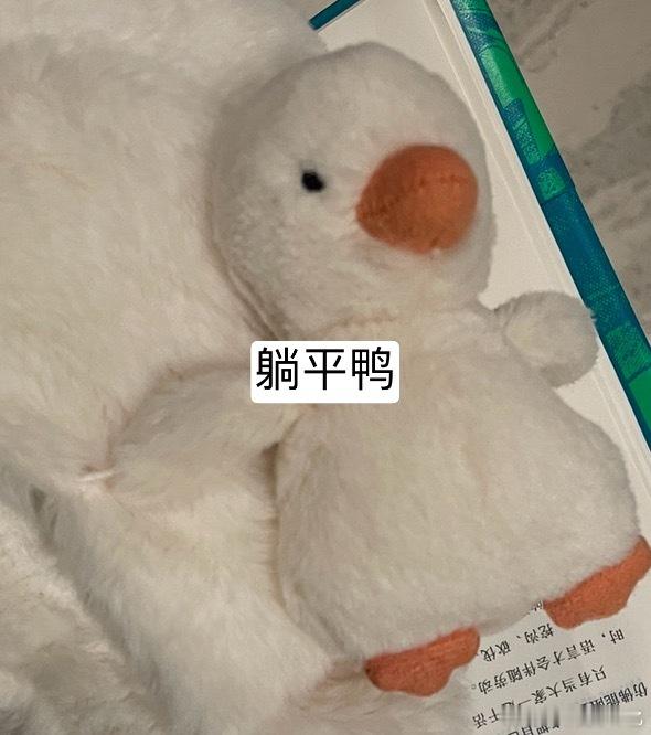 他说晚上要把嘎爪背后面绑在阳台的栏杆上[揣手][揣手]我看看他能整出什么花活儿 