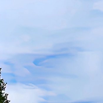 1900生命的天空里，有风和日丽，亦有云遮雾障。不是每轮艳阳都暖人，不是每片乌云